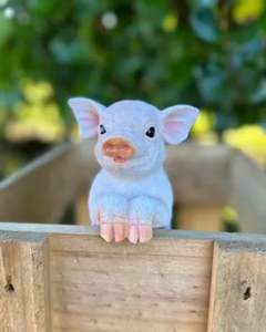 Animals: Piglet Small