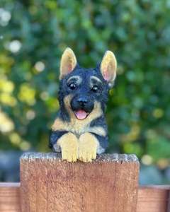 Animals: German Shepherd Medium