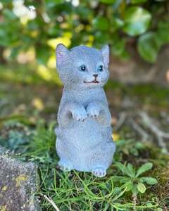 Animals: Grey Cat Small