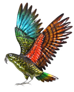 Wall Art: Kea in Flight - Wall Hanging
