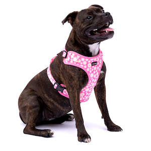 Frank Barker Four Legged Fashion: Pink Daisies Harness