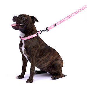 Frank Barker Four Legged Fashion: Pink Daisies Lead