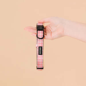 Frank Barker Four Legged Fashion: Pink Gingham Collar