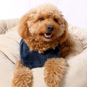 Frank Barker Four Legged Fashion: Velvet Lined Navy Corduroy Coat