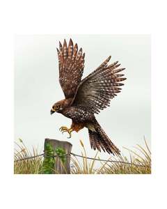 Falcon Ceramic 3D Tile - Sophie Blokker