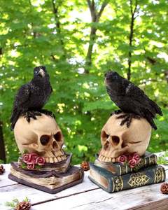 Crow Perched on Skull & Books