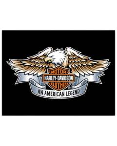 Wall Art: Metal Sign Harley