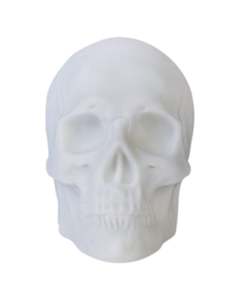 Adults: Skull Speaker