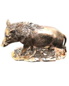 WILD BOAR
