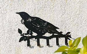 Wall Art: 30cm Metal Wall Hooks Tui
