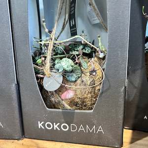 Qixi Festival 22 August 2023: Kokodama & Chain of Hearts - Great Gift Idea