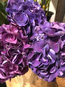 International Womens Day 2025: Florist Choice Purple and White Posy - For International Womens Day