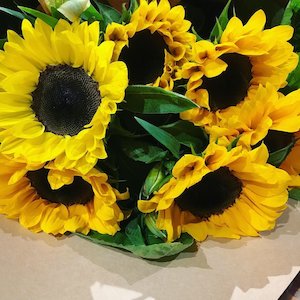 Sunflower Market Special