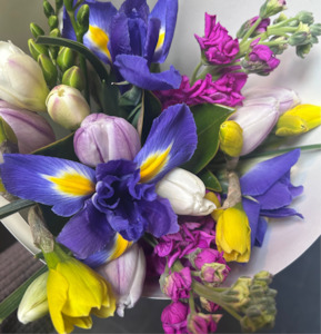 Mothers Day: Spring Florist Choice Posy