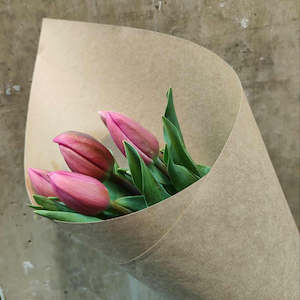 Tulip Market Special