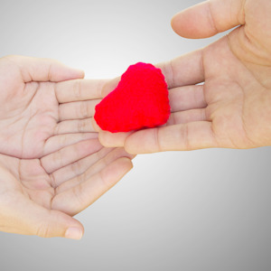 New: Snoo Hire - Pay it Forward