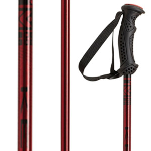 Ski Poles: Poles - Vector Jr 17
