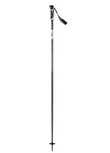 Ski Poles: Scott Strike Ski Pole