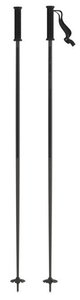 Ski Poles: Atomic Park Pole
