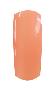 Products: SNS DUO BD022 snsnails