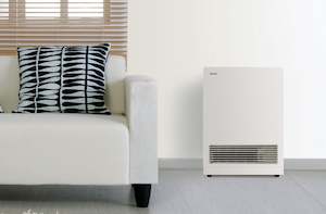 Rinnai Energysaver 561FT / FT3 Space Heater