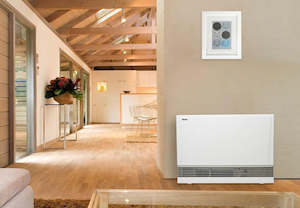 Gas Fires: Rinnai Energysaver 1005FT / FT3 Space Heater