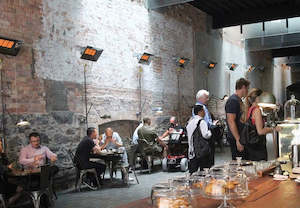 Rinnai Super Ray Indoor Space Heater