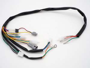 2 Stroke Electrics: Wire Wiring Harness Loom pour Yamaha Pw50 Py50 Peewee 50 Pit Dirt Bike (2T151)