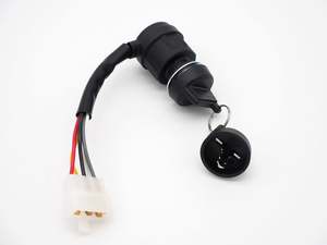 4 Stroke Electrics: Key Ignition Switch 5 wire /2 Keys Chinese 110cc-250cc ATV Quad Go Kart (4T301)
