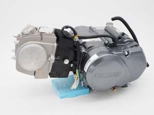 Engine: Lifan 125cc 4 Stroke Semi auto engine (4T313)+Wiring Loom Harness Coil CDI Carby