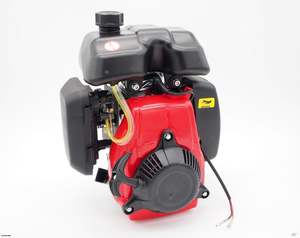 4 Stroke 49cc 142F OHV Engine Motor (4T274)
