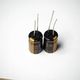 2 Pcs of Nichicon 25V 220UF MUSE KZ for Audio Japan Made HI-FI Capacitor
