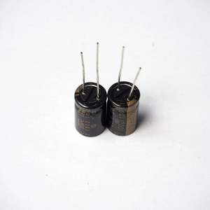Electronic Components: 2 ELNA Japan 25V 100UF AUDIO Grade Electrolytic Capacitors