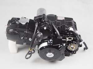 Engine: Lifan 110cc 4 Stroke Auto ATV Engine (4T003) Wiring Loom Harness Coil CDI Carby