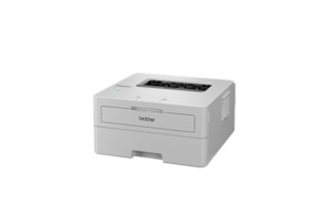 Printers: Brother HLL2865DW Mono Laser