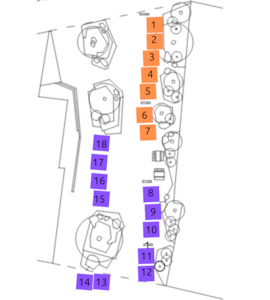 26th November: Orange  Team - 26th November