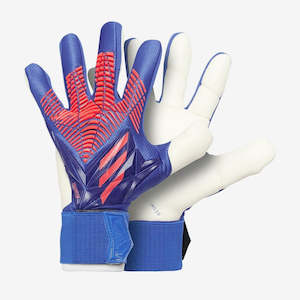 Goalkeeper Equipment: Adidas Predator GL Competition