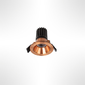 Outdoor: Copper Exterior Recessed Downlight