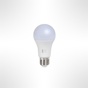 New Arrivals: A60 Frosted LED Bulb