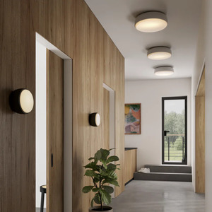 Wall Lights: Over Me Wall/Ceiling Light