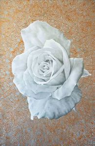 Landscape + Nature Sofia Minson Artist: Io Whispers