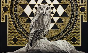 Animals + Birds Sofia Minson Artist: Ruru