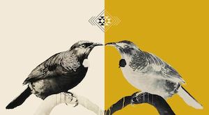 Animals + Birds Sofia Minson Artist: Breath of Life