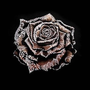 Landscape + Nature Sofia Minson Artist: Midnight Rose