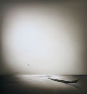 Landscape + Nature Sofia Minson Artist: Te Waka