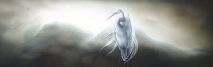 Animals + Birds Sofia Minson Artist: Tuku