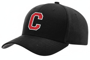 Csa Merchandise: CSA cap