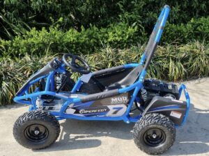 Products: HIGHPER Buggy Electric Go Kart