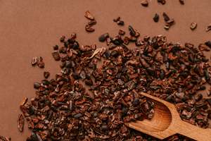 Wholesale: Single Origin Roasted Cacao Nibs - 10kg - certified vegan , organic