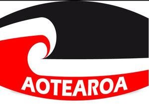 Products: Aotearoa TRT Hoody & Facemask Combo SomethingKiwi
